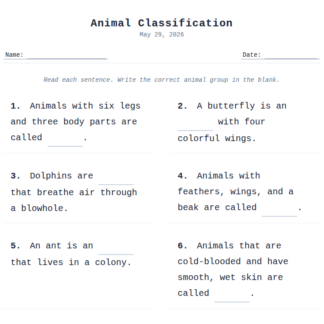 1st Grade Animal Classification