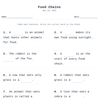 1st Grade Food Chains