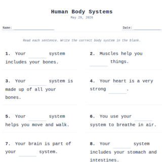 1st Grade Human Body Systems