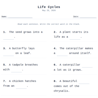 1st Grade Life Cycles
