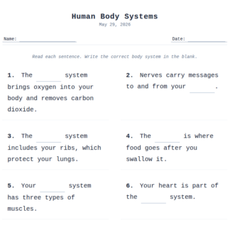 2nd Grade Human Body Systems