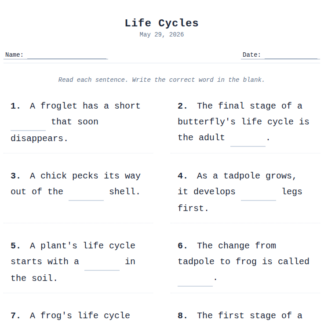 2nd Grade Life Cycles