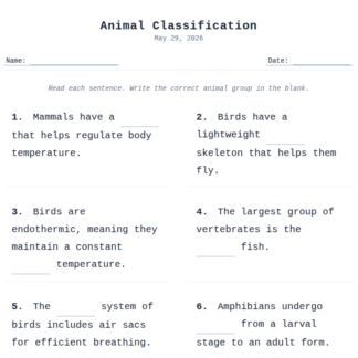3rd Grade Animal Classification