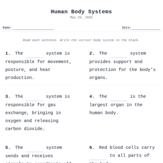 3rd Grade Human Body Systems