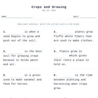 2nd Grade Crops and Growing